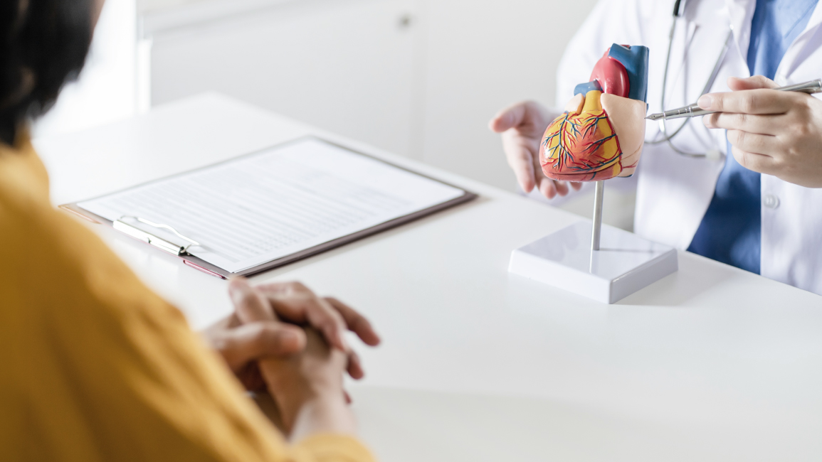 Doctor showing heart model to patient discussing silent heart attack symptoms