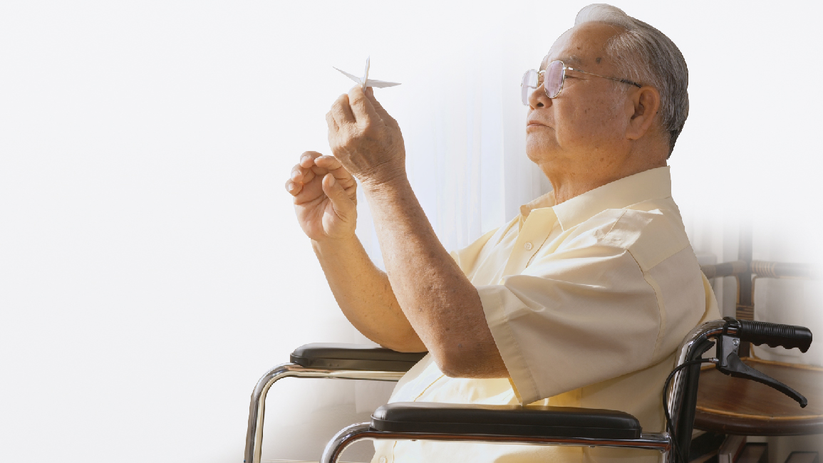 Risk Factors for Alzheimer’s Disease